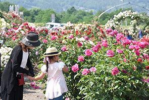 さかき千曲川バラ公園02