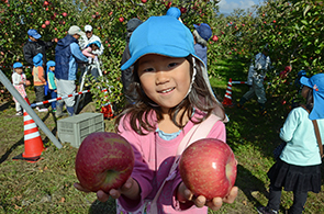 南保りんご収穫体験04