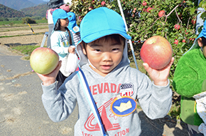 りんご収穫体験05