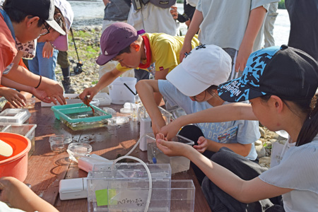 川の学校の画像3