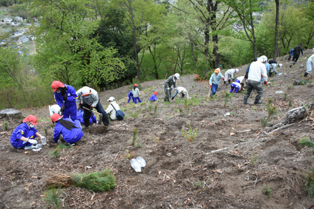 植樹祭の画像3