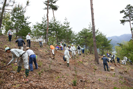 植樹祭の画像5