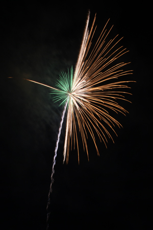 45回さかきどんどん08