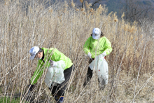 千曲川クリーンキャンペーン2022410_05の画像1