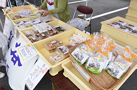 鉄道フェスタinさかき~169系電車と昭和のゆかいな仲間たち~09