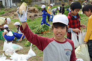 ねずみ大根の画像4