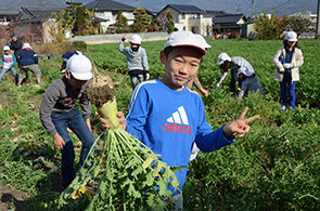 ねずみ大根の画像1