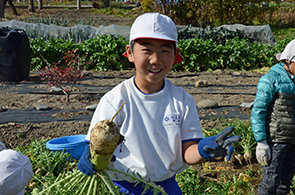 ねずみ大根の画像4