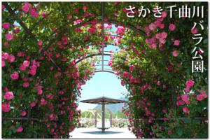 バラ公園