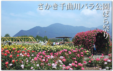 バラ公園