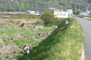 クリーンキャンペーン5