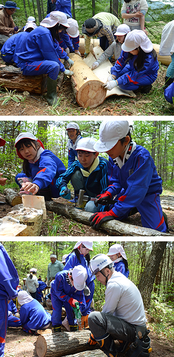 学有林活動中の坂城小学校生