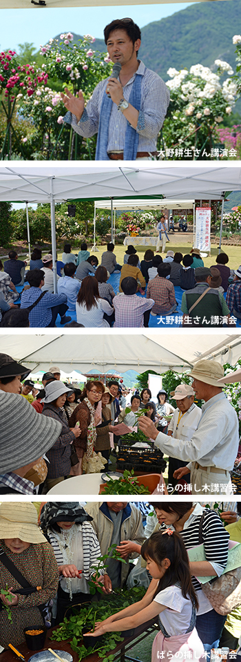 ばら祭りイベント