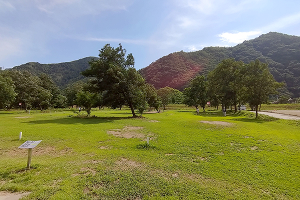 鼠橋運動公園