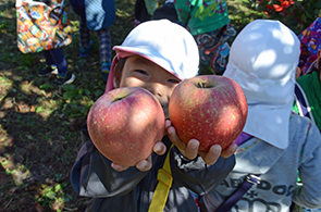 りんご収穫体験03