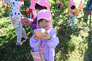 りんご収穫体験04