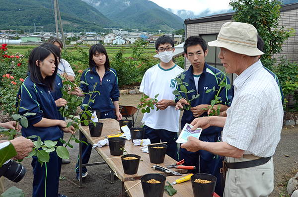 坂城高校生ばらの挿し木