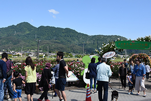 ばら祭り04