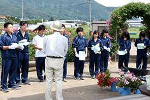 坂高挿し木03