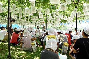 坂城小学校総合学習02