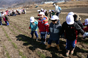 坂城幼稚園児の麦踏み体験02