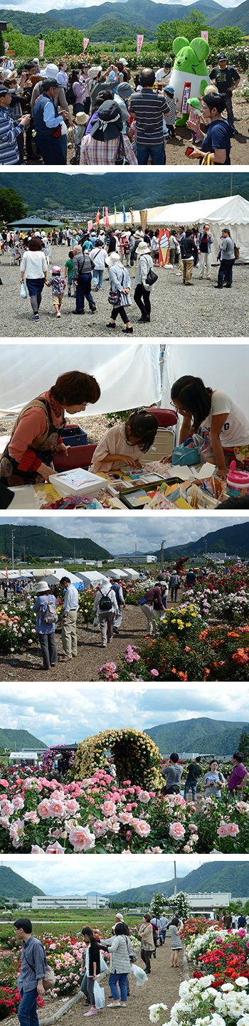 ばら祭り6月8日