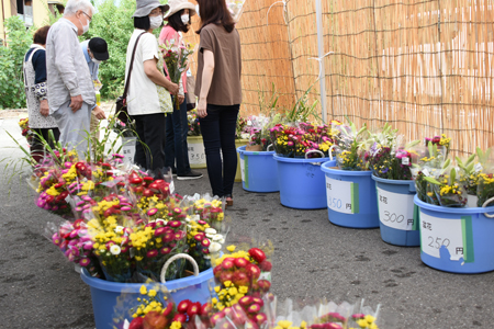 あいさいお花市02