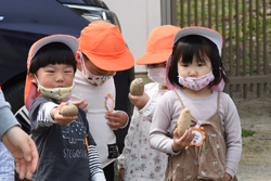 村上保育園じゃがいも植え03