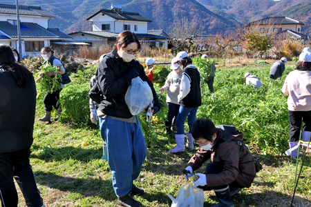 南小ねずみ大根まつり08