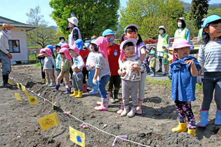 村保じゃがいも植え03