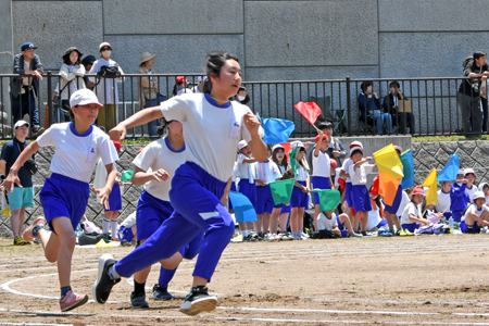 南条小学校運動会16