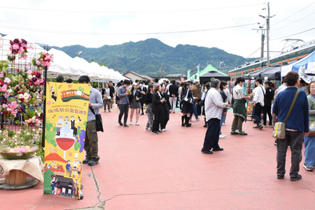 ワインフェス