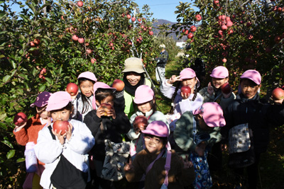 さかきのできごと